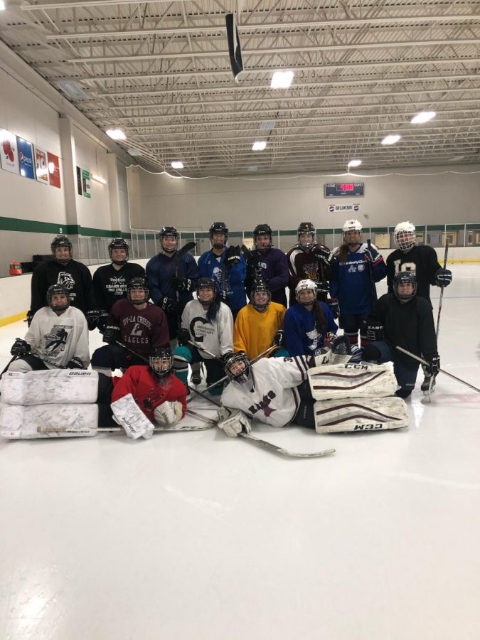 Womens Hockey Club. Retrieved from Madison Roy.