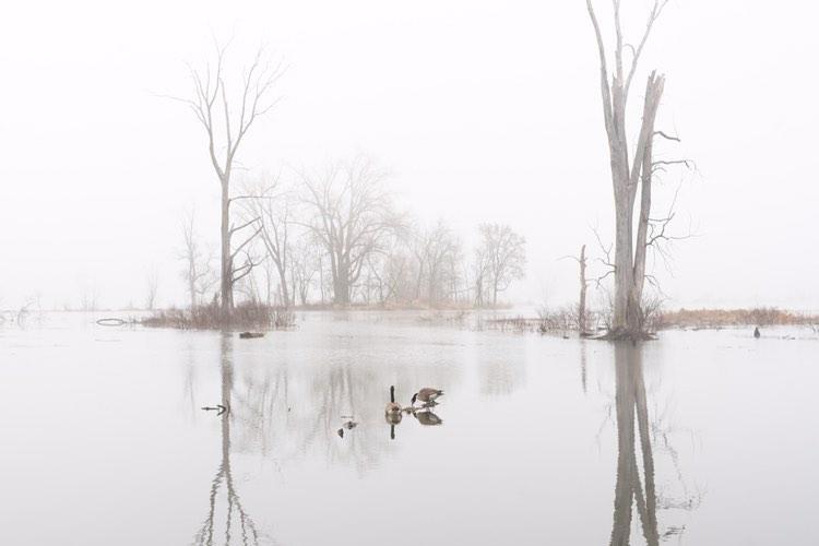 The La Crosse River Marsh. 