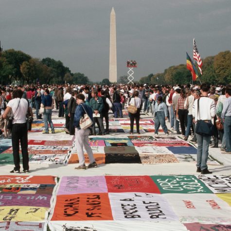 AIDS Memorial Quilt in Washington, D.C. Image retrieved from history.com. 