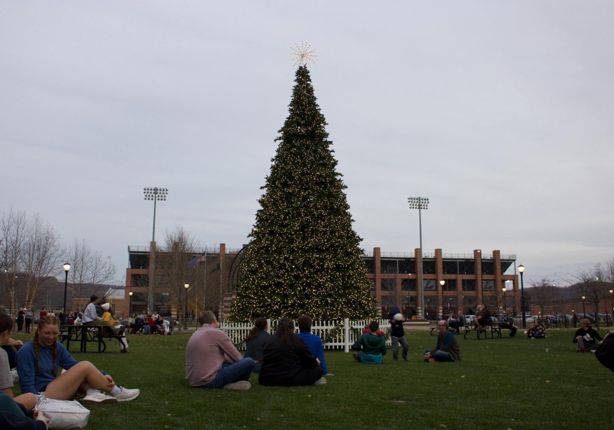 Lit up tree on the Student Union Lawn. Picture taken by John Gaynor.