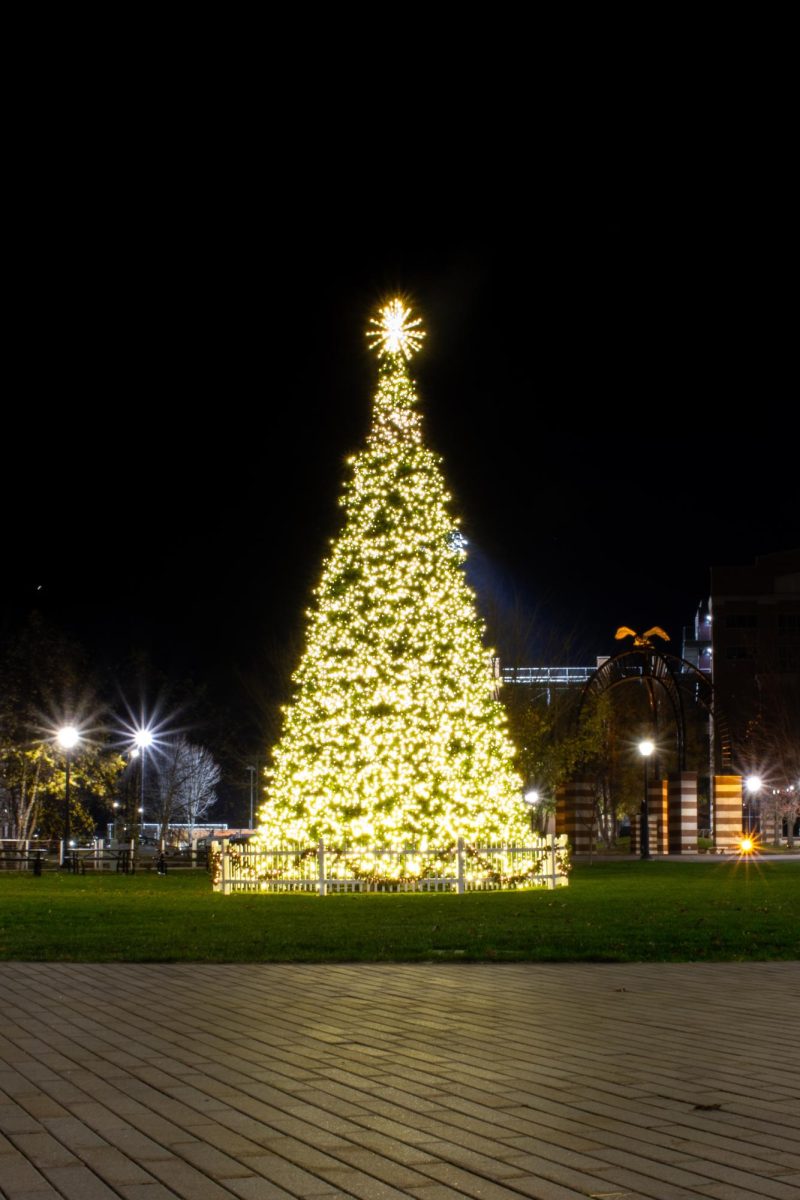 The Holiday Tree at night. 