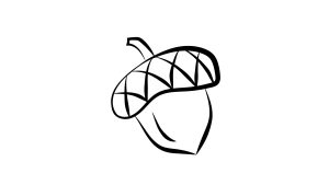 The Acorn Logo by Trinity Reitmann. 