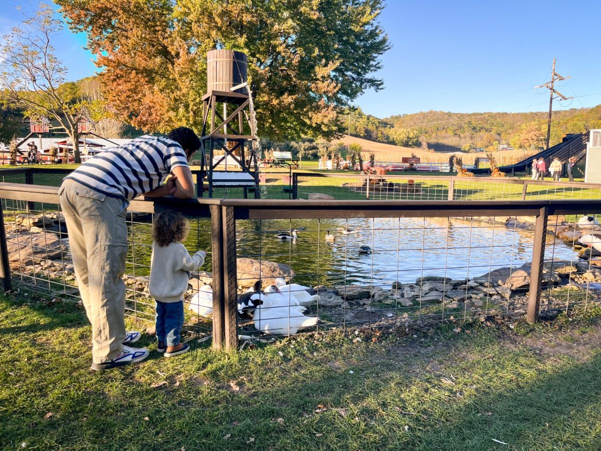 Calvin Mavin and Milo Mavin looking at the duck pond at Ferguson's Orchard. Photo by Trinity Rietmann. 
