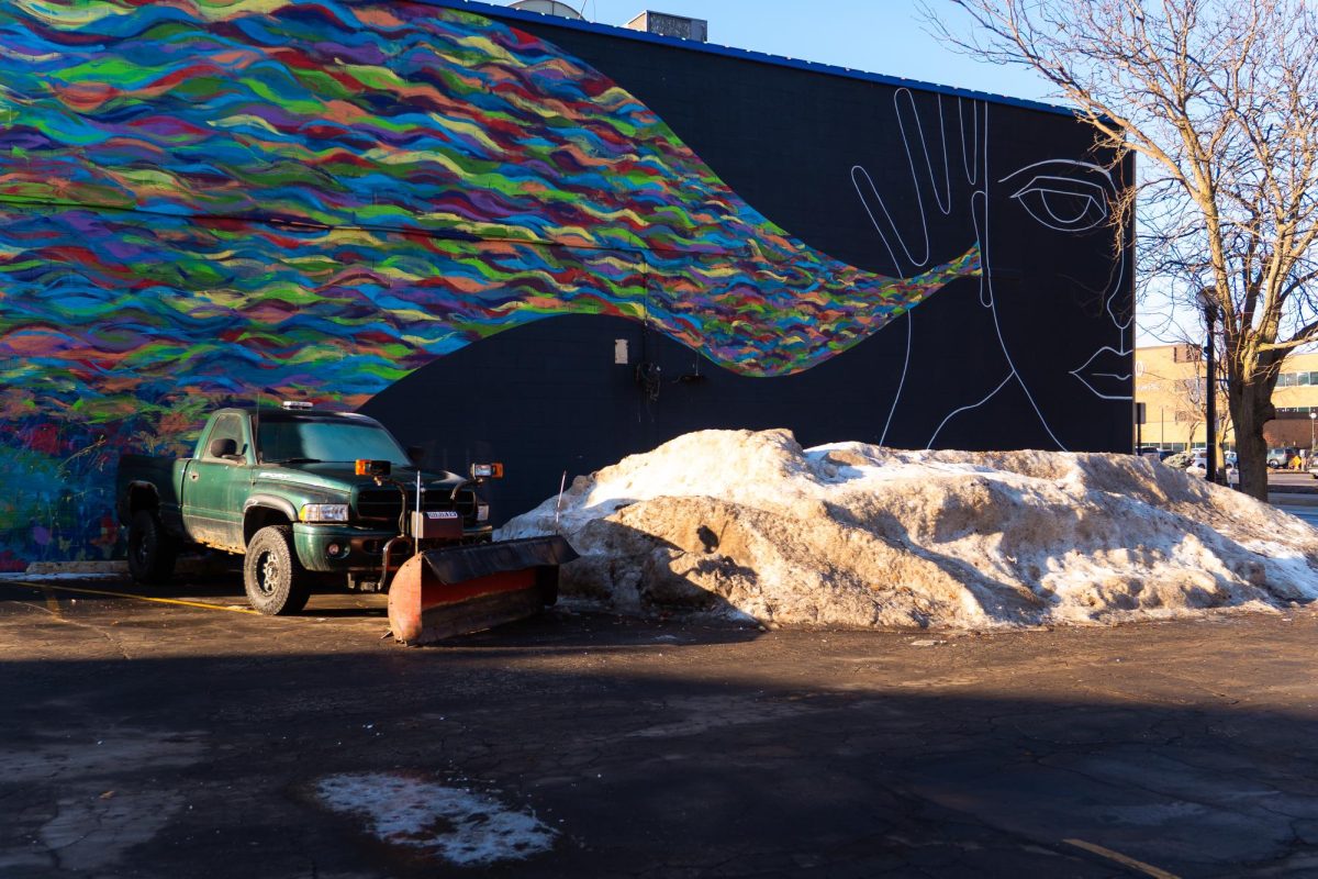 lacrossemural7